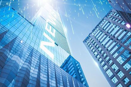 Golyós orrú maró jellemzői